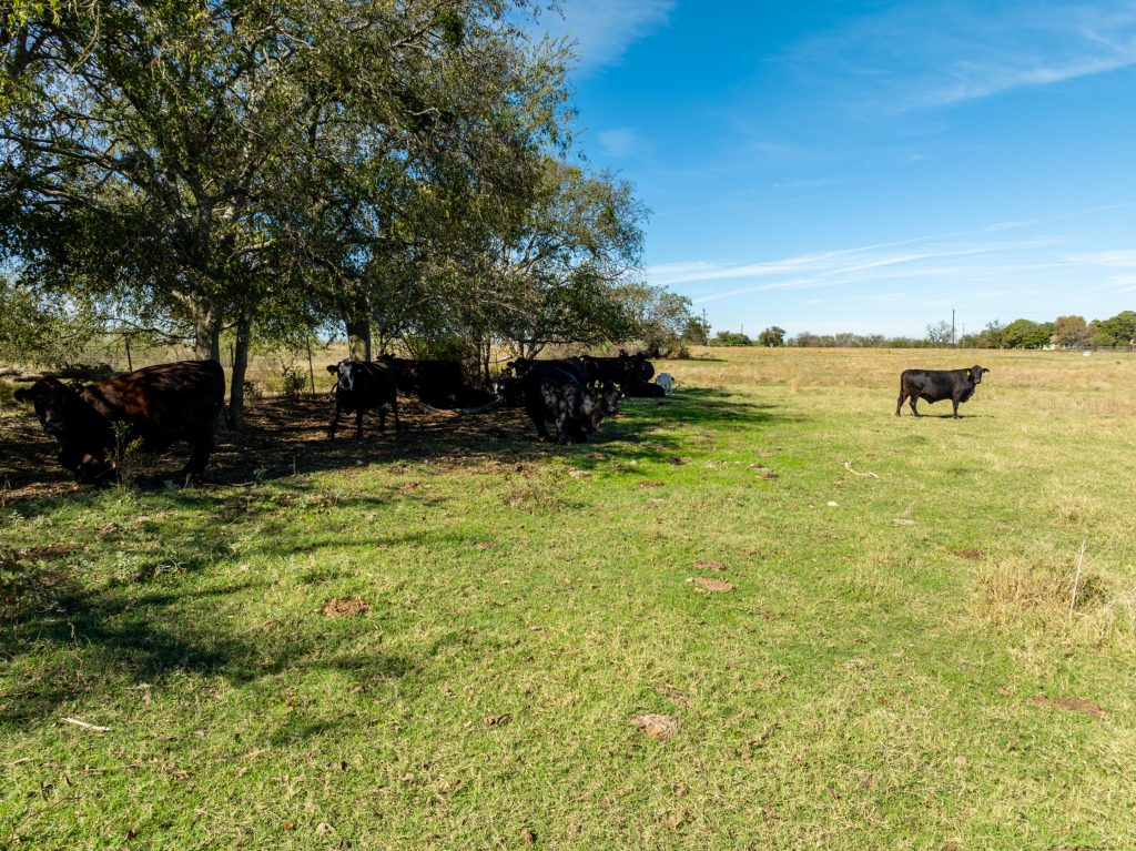 Wiginton - 2025.05.25-02