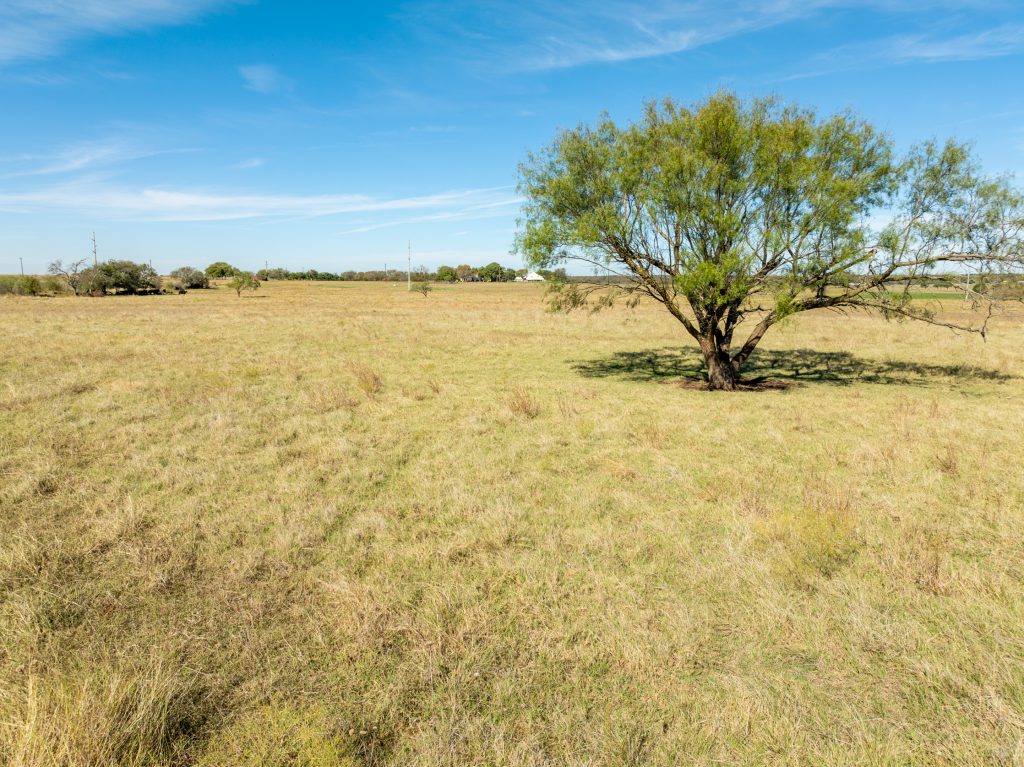 Wiginton - 2025.05.25-03