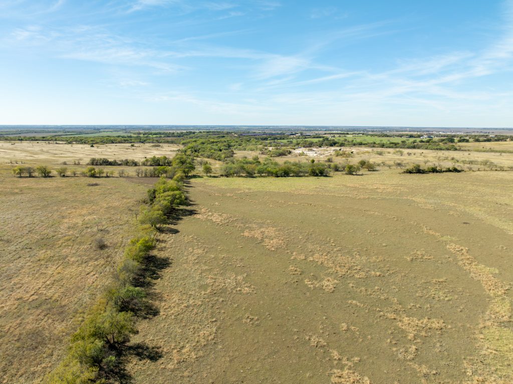 Wiginton - 2025.05.25-05